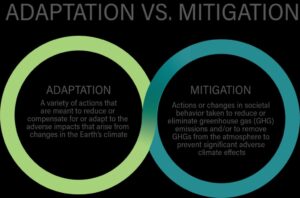 adaptation and mitigation 